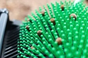 acorn picker machine