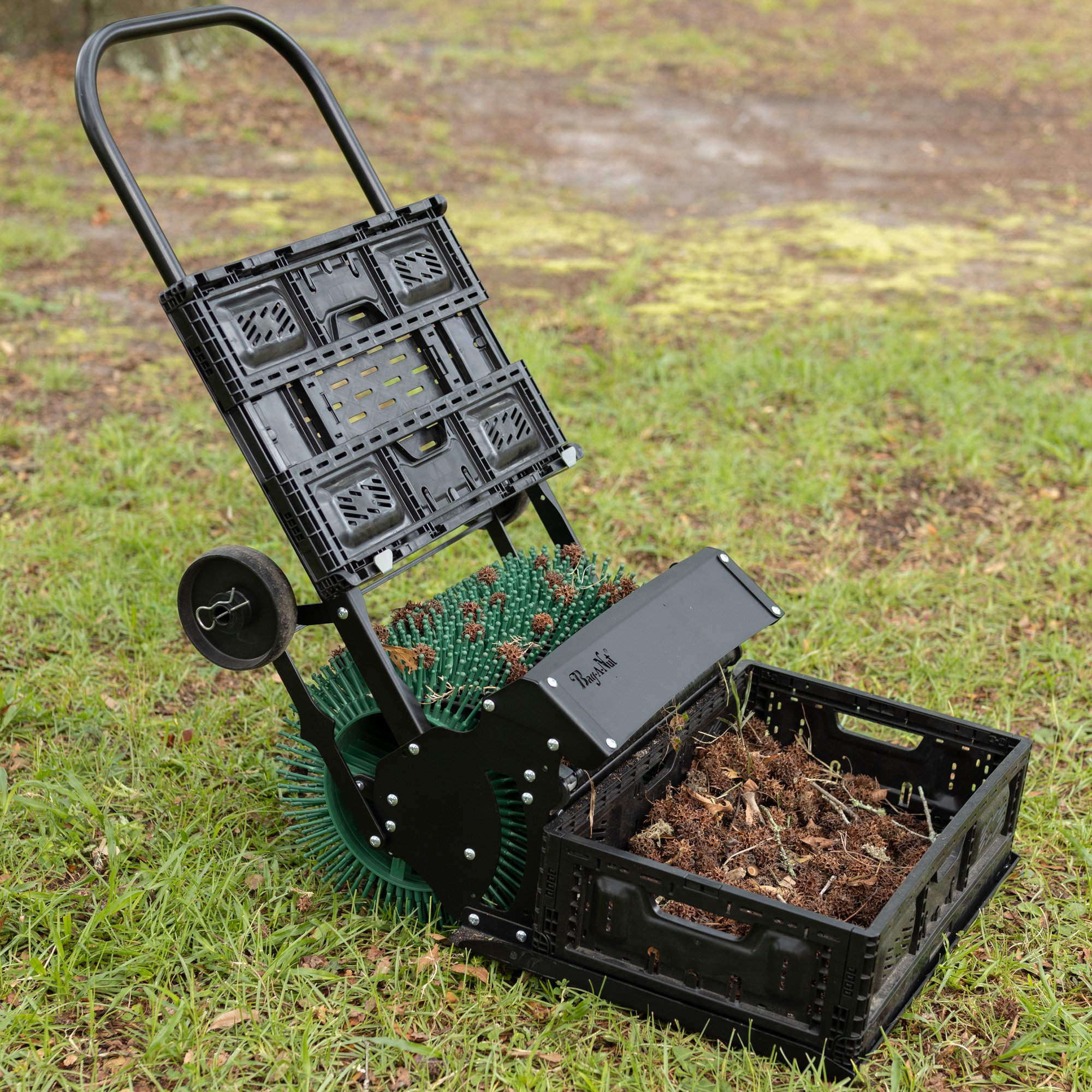 18pro.Sweetgum Balls-9468 Sweetgum Ball Picker Upper