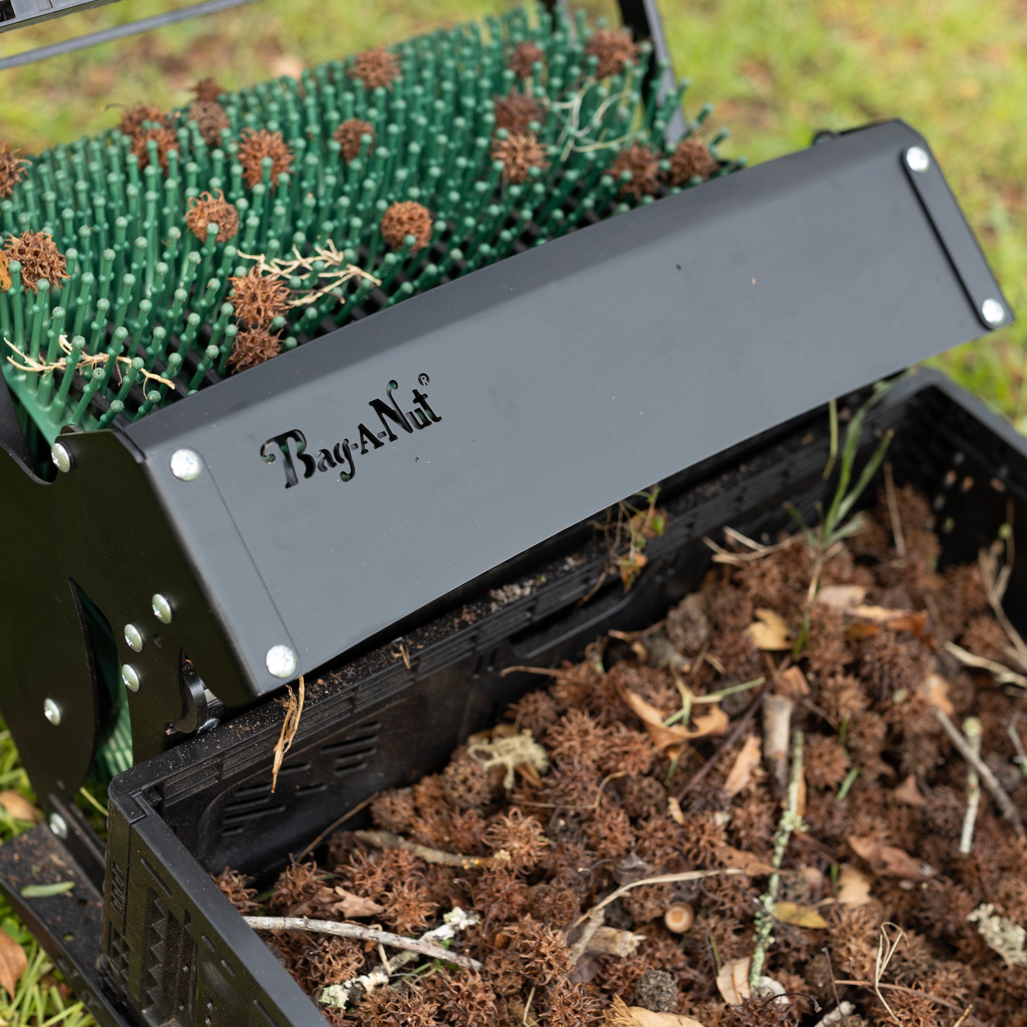 18pro.Sweetgum Balls-9471 Sweetgum Ball Picker Upper