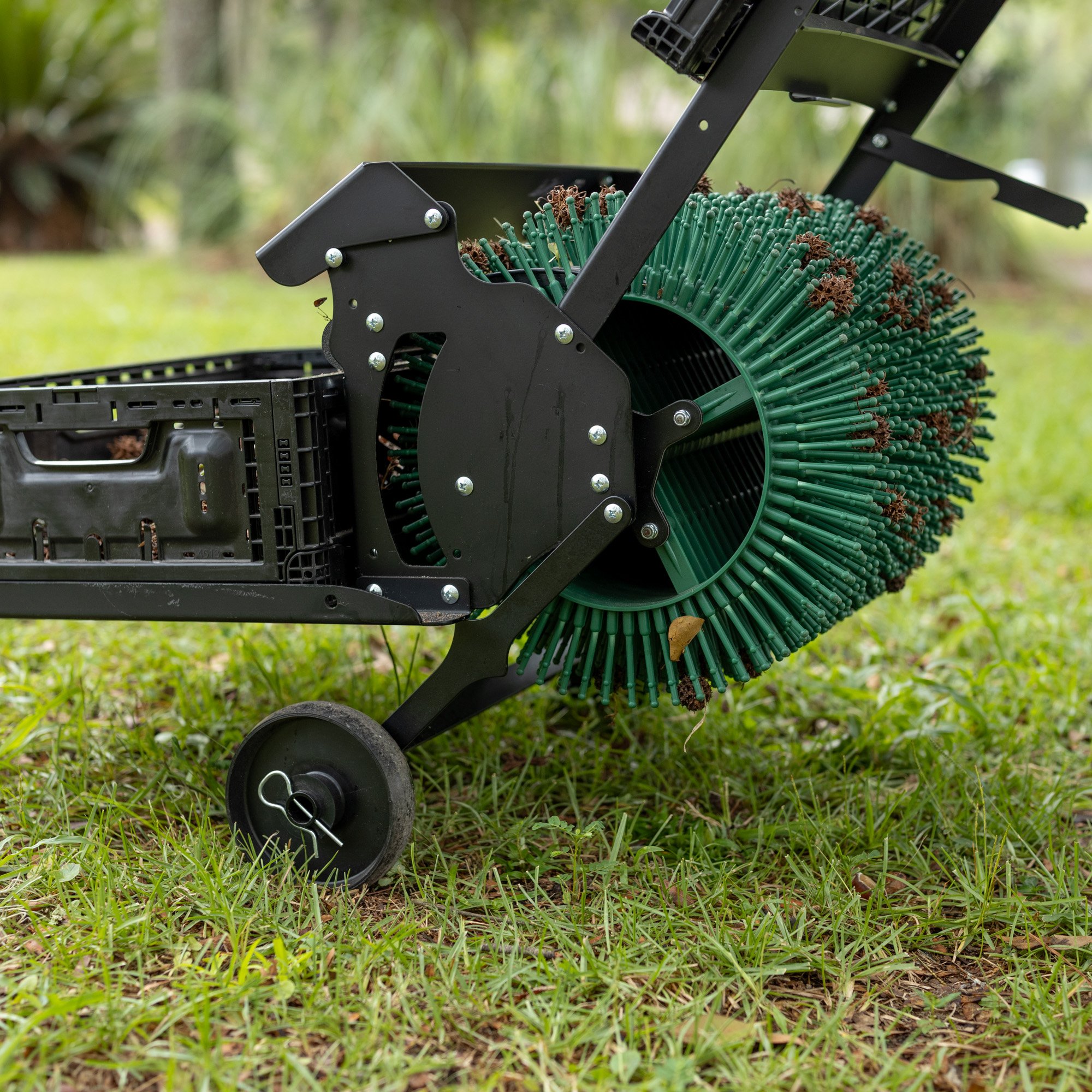 18pro.Sweetgum Balls-9478 Sweetgum Ball Harvester